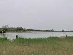 -西青郊野公园