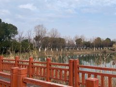 -艾溪湖湿地公园