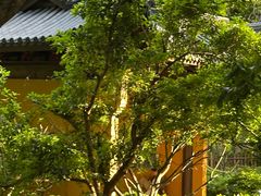 -灵顺寺