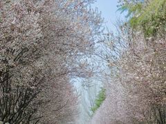 -汉长安城未央宫国家考古遗址公园