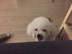 -青藤汗蒸时代会所