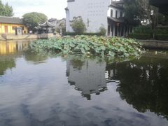 -西塘古镇-倪宅