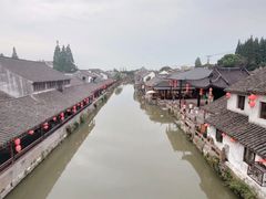 -枫泾丁氏烧卖(枫丽路店)