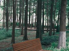 -上海浦江郊野公园-3号停车场