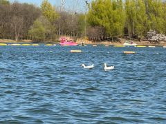 -永定河休闲森林公园