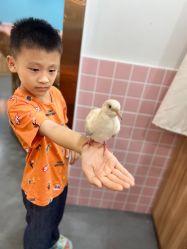 -Moni星球萌宠·小马宝莉·灵蛇·高端高阶全萌宠互动体验俱乐部(红豆国际广场店)