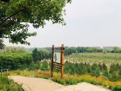 -东郊湿地公园