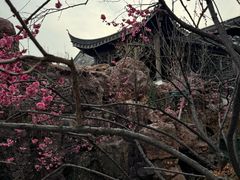 -芥子园