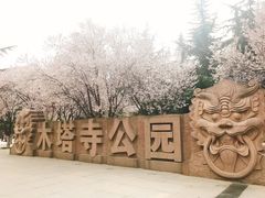-木塔寺遗址生态公园