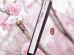 -天适樱花悠乐园
