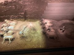-秦始皇帝陵博物院-丽山园