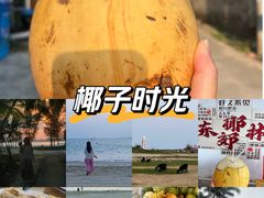 -东郊椰林