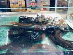 景观位-洪湘记川湘·甲鱼馆(四海凯悦美食广场店)