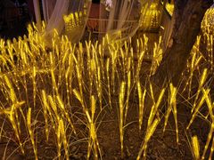 -维斯特·夜烤牛肋条任吃