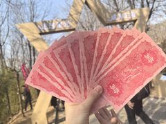 -红嫂家乡旅游区