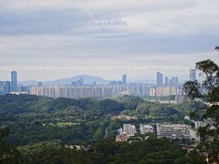 -东莞植物园