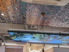 -探窝·竹笙椰子鸡(杨箕店)