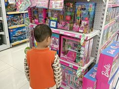 -TOYSRUS玩具反斗城(上海青浦吾悦广场店)