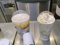 -雾与山茶(大禹城店)