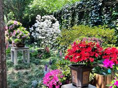 -惠山古镇·寄畅园