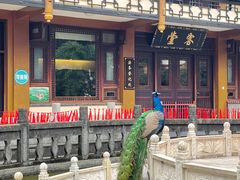 -都江堰普照寺