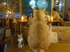 -咖法森林·咖啡  酒吧(天河店)