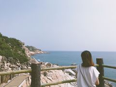 -广东惠东海龟国家级自然保护区