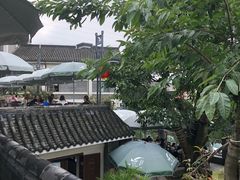-老幺泉水鸡