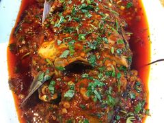 藿香豆瓣鱼-青城甲(青城山店)