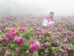 -伏羲大峡谷