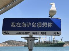 -海驴岛(荣成市)