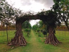 -上海海湾国家森林公园