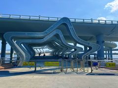 -演武大桥观景平台