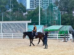 -名驭国际马术学院