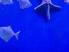 -沈阳海洋探索中心