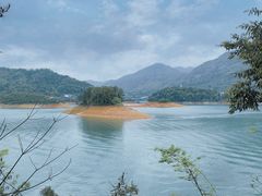 -广州市流溪河国家森林公园