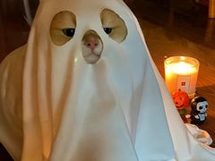 -南京大牌档(中关村领展广场店)