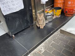 -老西安韩记三鲜煮馍(四府街店)