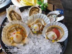 -日进一片海.生腌海鲜火锅.宵夜烧烤(三里屯总店)