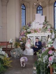 -纯色时光婚纱艺术馆WHITE