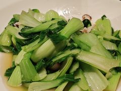 香菇青菜-辛香汇·现炒川菜(城北万象城店)