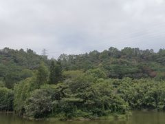 -滴水岩森林公园