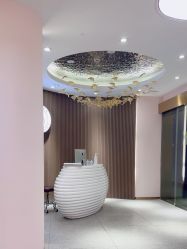 -MUSES专业脱毛比基尼サロン日式连锁