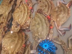 -一方渔歌蒸汽海鲜自助(文化路万达广场店)