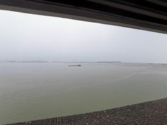 -大湾区中央湿地公园