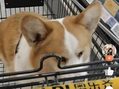 -ALDI奥乐齐超市(浦东大华锦绣优嘉店)