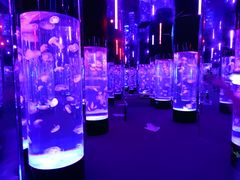 -成都浩海立方海洋公园