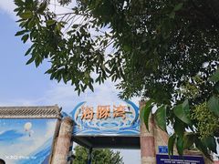 -海豚湾梦幻水上乐园