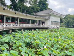 -荔湾湖公园
