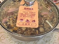 -百利鸽王(紫薇路店)